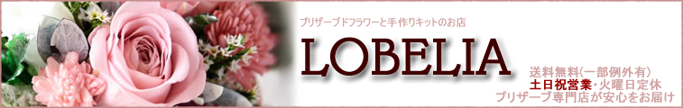 �v���U�[�u�h�t�����[���XLOBELIA