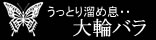 ��փo��
